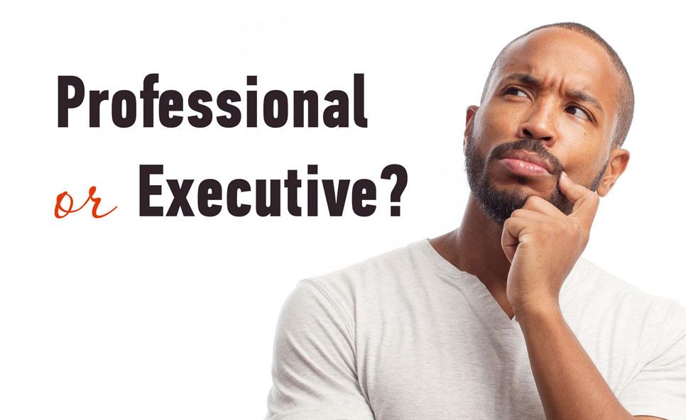 Professional and Executive Resumes